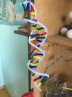 MODEL DNK