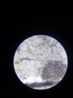 Uzorak Tla Pod Mikroskopom