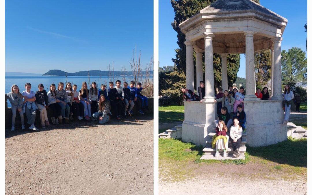 Around My Neighbourhood