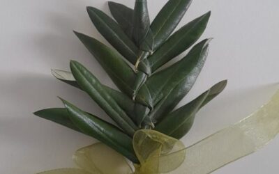 Radionica pletenja maslinovih grančica