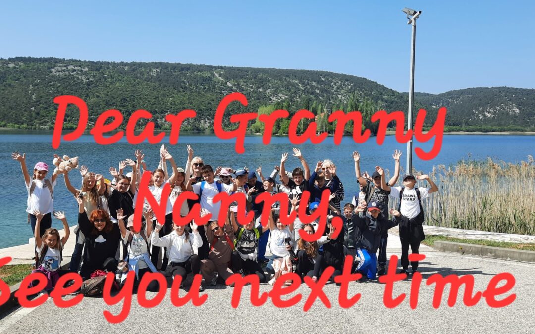 Granny Nanny