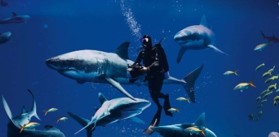 Uroni u trenutak1